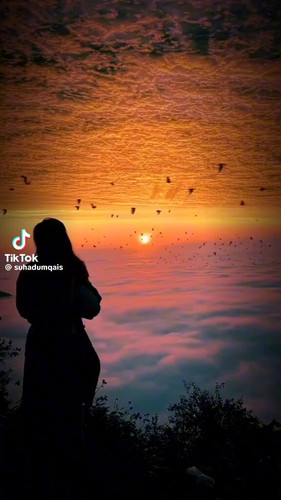 lVet2XvWzEl hAw7.jpg