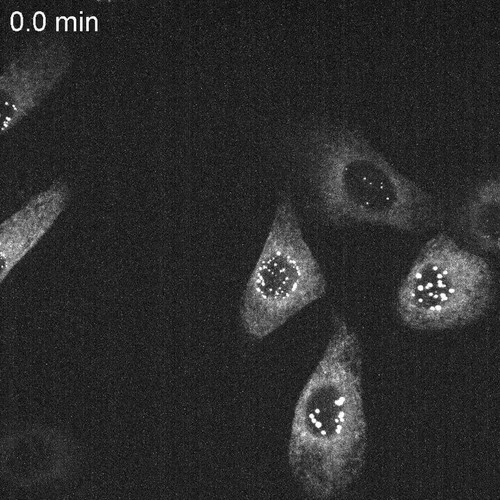 Yd01 E7VQDrU9uG1.jpg