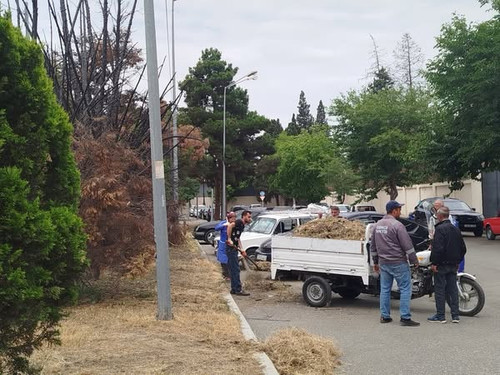 514204196 764153265963690 5573815823367672849 n.jpg?stp=dst jpg s600x600 tt6& nc cat=103&ccb=1 7& nc.jpg