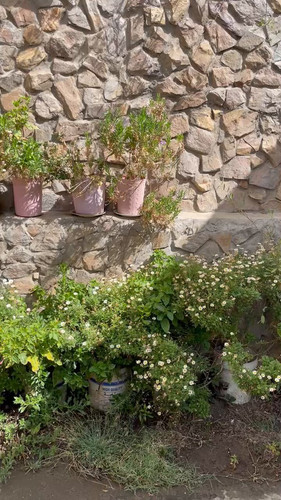 6VdwzgQTe1OuaMG .jpg