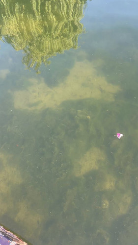 6mpmqg 1M9LAVCSo.jpg