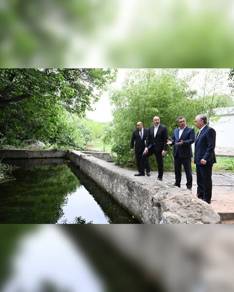 516069509 18516604783031353 4627613487981692430 n.jpg?stp=dst jpg s600x600 tt6& nc cat=110&ccb=1 7& .jpg