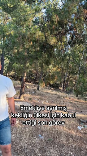 Wc csj1O8ZXVASNQ.jpg
