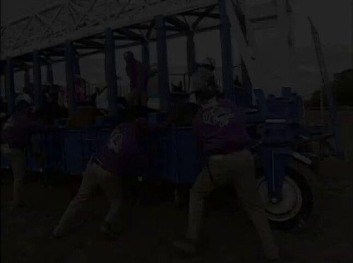 mP 4VUbsoPrlHamz.jpg