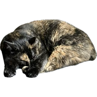 GuyhcXbXwAA1qvf.png