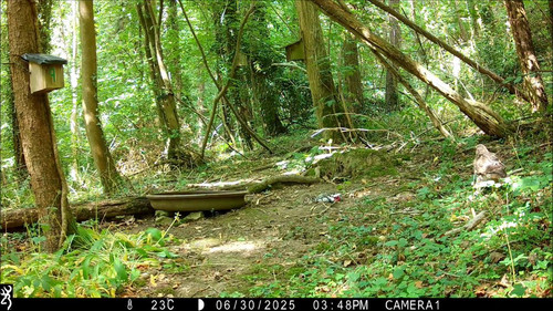 cGHd4wS33m7Mx c7.jpg