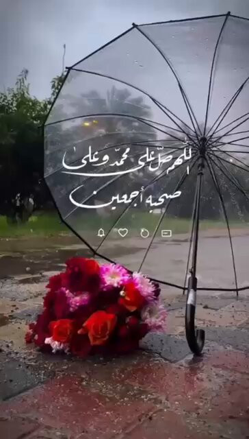 QjLBckf94 h6QnTM.jpg