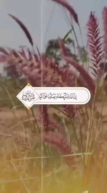 MyDmHVwmE4bF Gu9.jpg