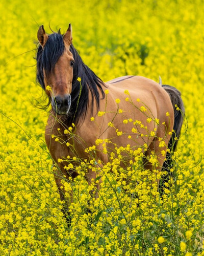 abrFshttiX Z3MjH.jpg