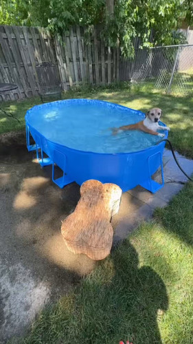 msbpxi HCstSJH61.jpg