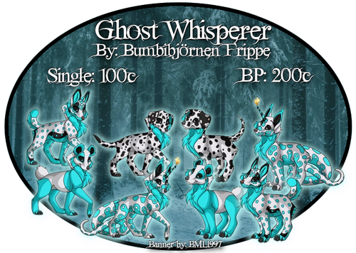 ghost whisperer.png