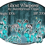 ghost whisperer