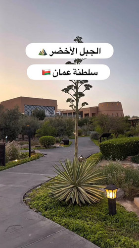 vJ g sSJ4XgTHTGy.jpg