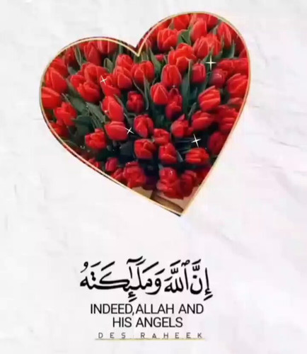 tk rm7dWGWWmOUFL.jpg