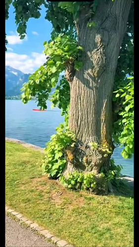 Jx4Hlp l7gf7JZW7.jpg