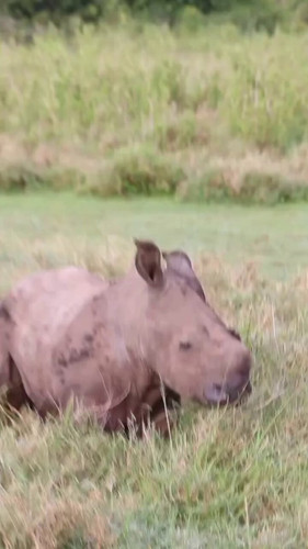 06VmSfiMI qbejBZ.jpg