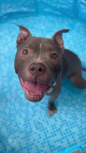 V37oH2lz6I n0o7J.jpg