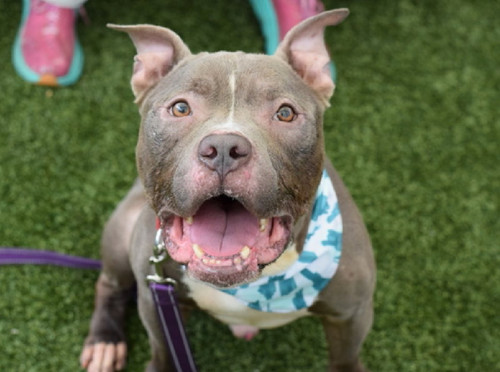 Guzz f7XYAAYQN7?format=jpg.jpg