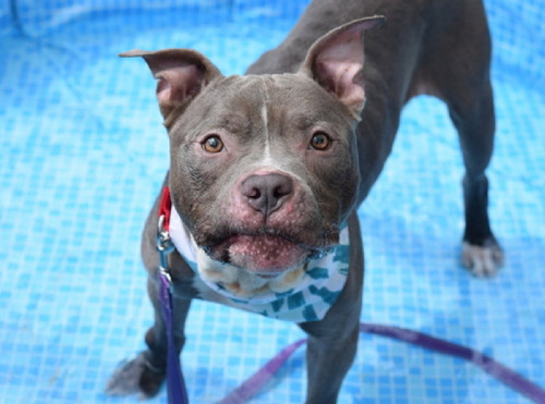 Guzz gHWkAAwl8v?format=jpg.jpg