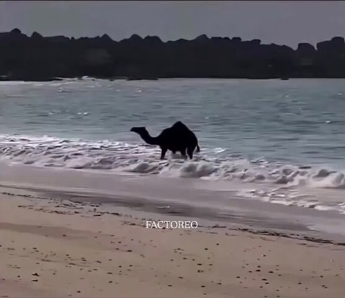 1dweQqiXxDpxBp q.jpg