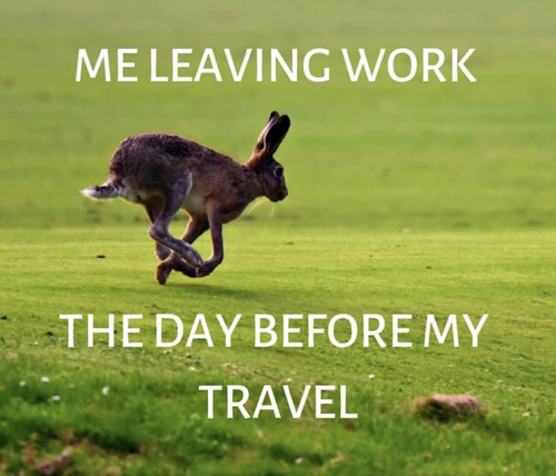 screenshot 2025 07 03 at 11.14.59 am 720.png