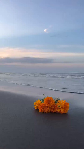 MW JAXq2TTCa0YGU.jpg