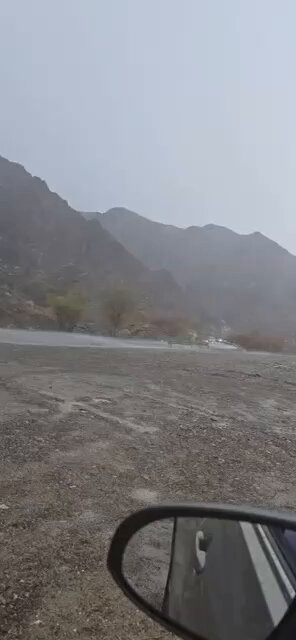 0 xvxhtZC2PKSOyU.jpg