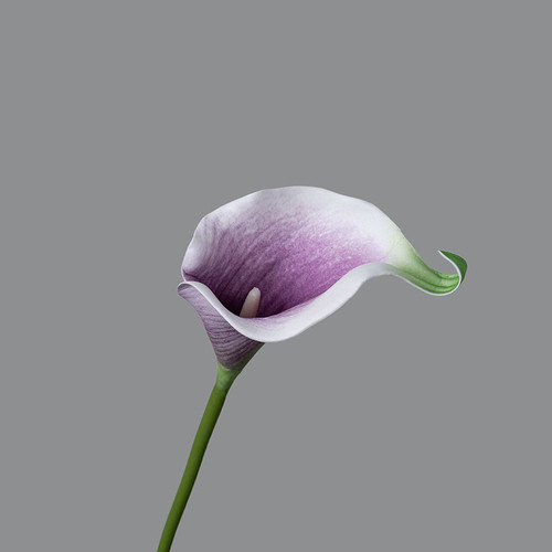 O1CN01kpBAXI2Ke9lcK49pW !!1946529581 0 cib.jpg