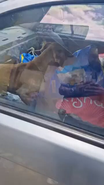 1xnU0B3aTht9 KZ .jpg