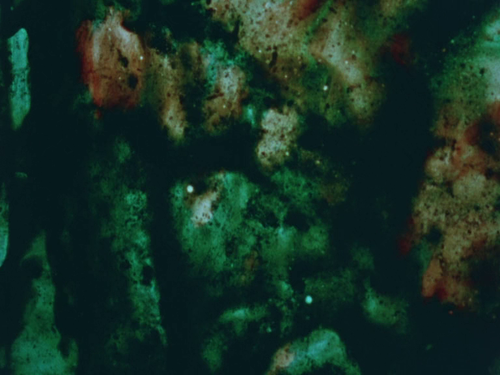 vlcsnap 2025 07 03 17h01m19s324.png