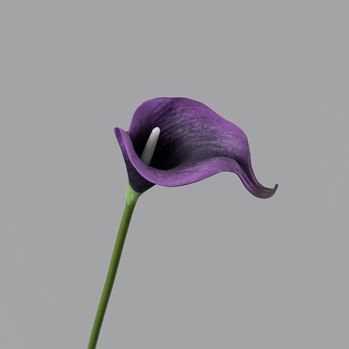 O1CN01knGcxj2Ke9lf2XJFE !!1946529581 0 cib.jpg