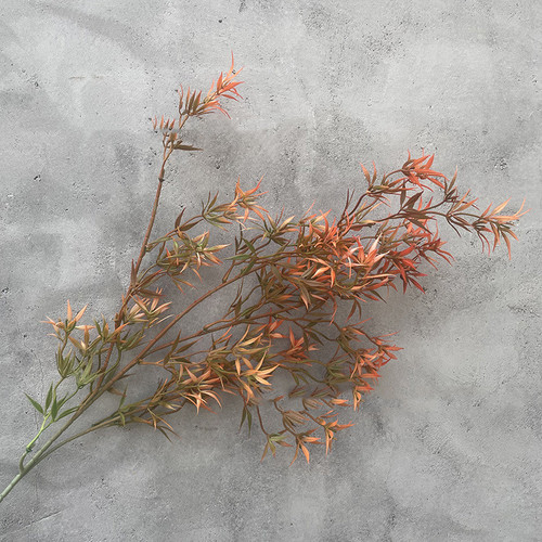 O1CN01MTxAcP1m2sbLcnYlA !!2212796054897 0 cib.jpg