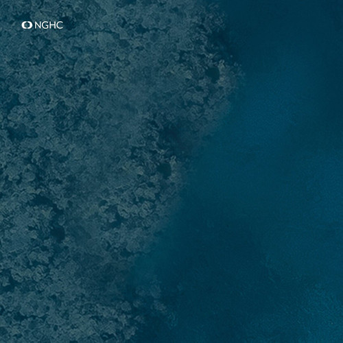 jG lGvWrW7O0LRzO.jpg