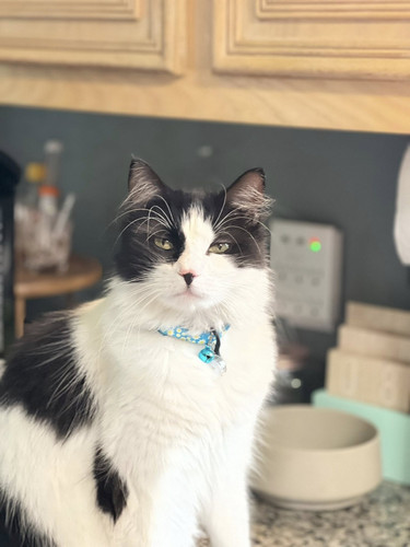 514317671 25017585831165015 2457886782787958333 n.jpg