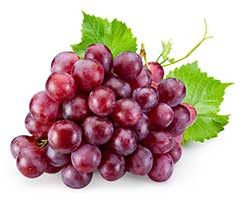grape 229112122 250.jpg
