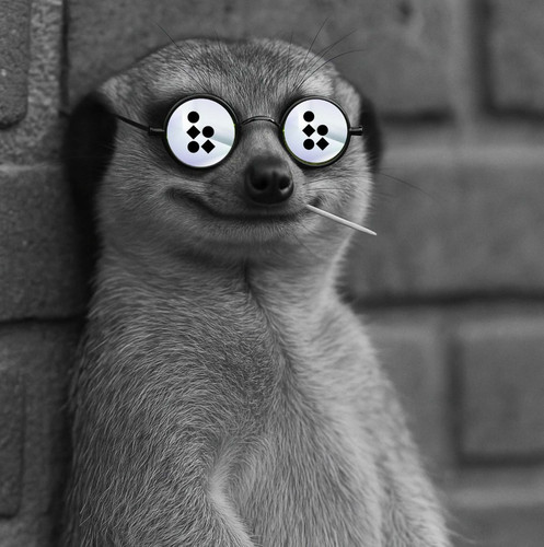 Gu6VR8eXsAAyFQX.jpg