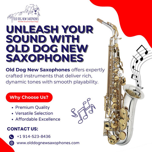 Unleash Your Sound with Old Dog New Saxophones.jpg