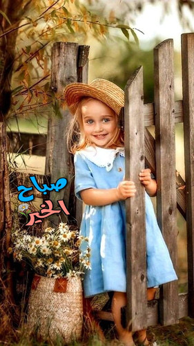 Gu533fPXsAAyAV5.jpg