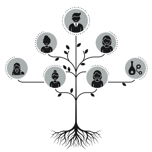 family history clip art ancestry tree diagram design free png.png