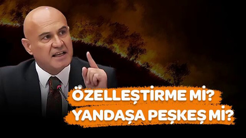 PREEbayvdfksbHUz.jpg