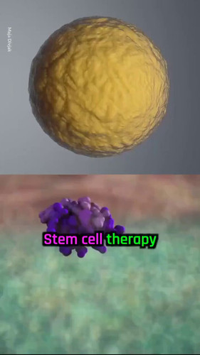 iqvy4iK KTYkaofw.jpg