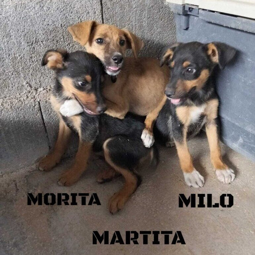 Gu1DIVZXgAAla46.jpg