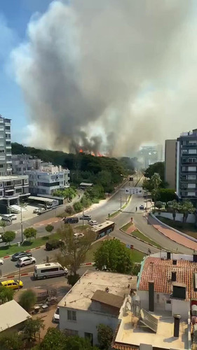 PwEFtt2fLK5ebjC .jpg