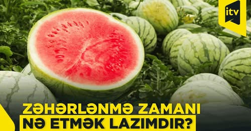 368678313214739061?url=https%3A%2F%2Fi.ytimg.com%2Fvi%2Fjfij2CPOIbI%2Fmaxresdefault.jpg&fb obo=1&utl.jpg