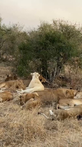 BcvnffT6 CAVmnIa.jpg