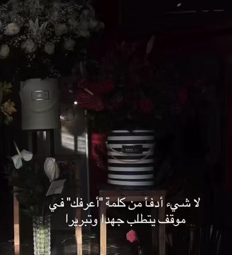 mHB4y6cFFkI zPXE.jpg