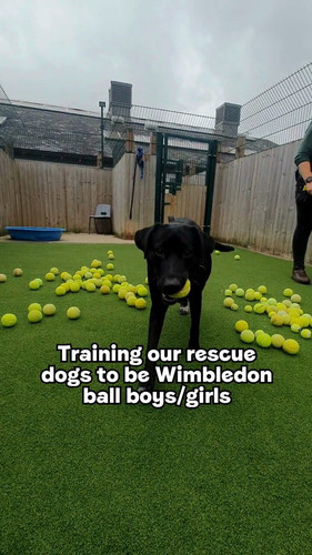 cZl fLZyoMxzFY4Z.jpg