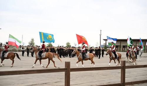 514981185 753521770561953 3135684469556876998 n.jpg?stp=dst jpg p235x350 tt6& nc cat=106&ccb=1 7& nc.jpg