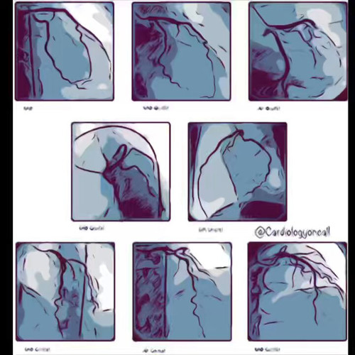 2I CH8Laaxe5VE5A.jpg