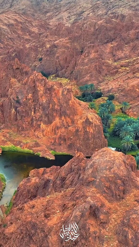 393 2PuDvafBObv9.jpg